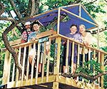 Build the Ultimate Tree House